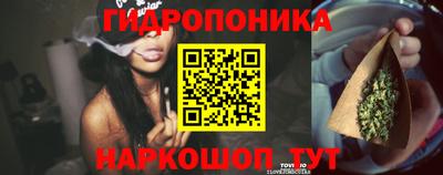 гашиш Магадан